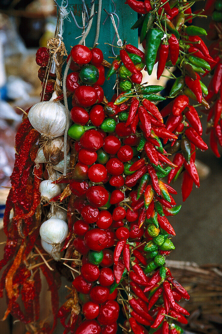 Gebündelte rote und grüne Pepperoni Schoten, Apulien, Italien