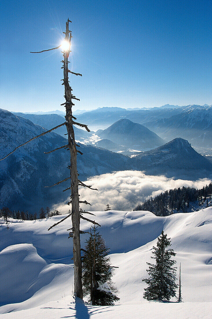Winter Landscape, Skiing Region Altaussee Steiermark, Austria