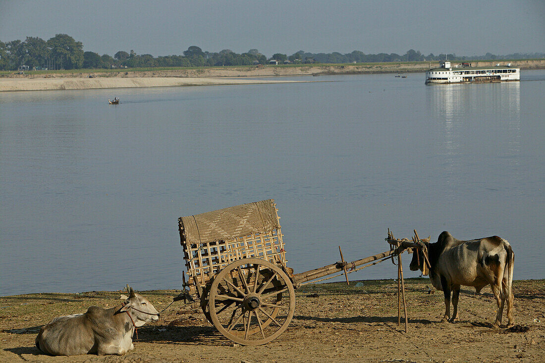Ox and cart, Irrawaddy, Mingun, Ochsengezogener Wagen, Ochsenkarre, Ayeyarwady, Ochsenkarren, Mandalay