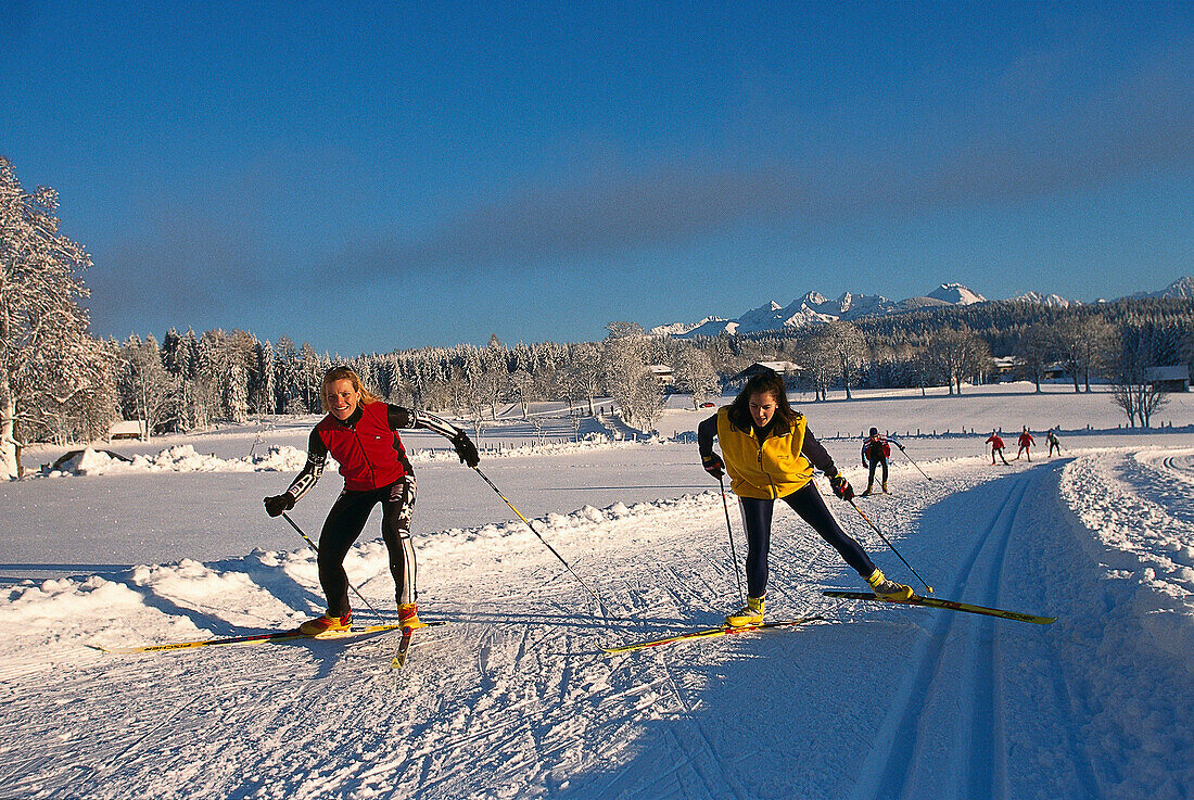Cross-country skiing, Ramsau Styria, Austria