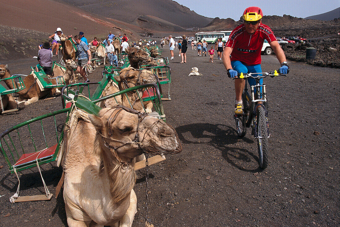 Mountainbiking beside Camelcaravan, Lanzarote Canary Islands
