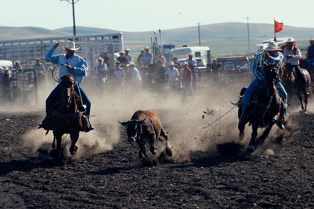 Blackfeet Indian Rodeo, Browning, North American Indian Days Montana, USA