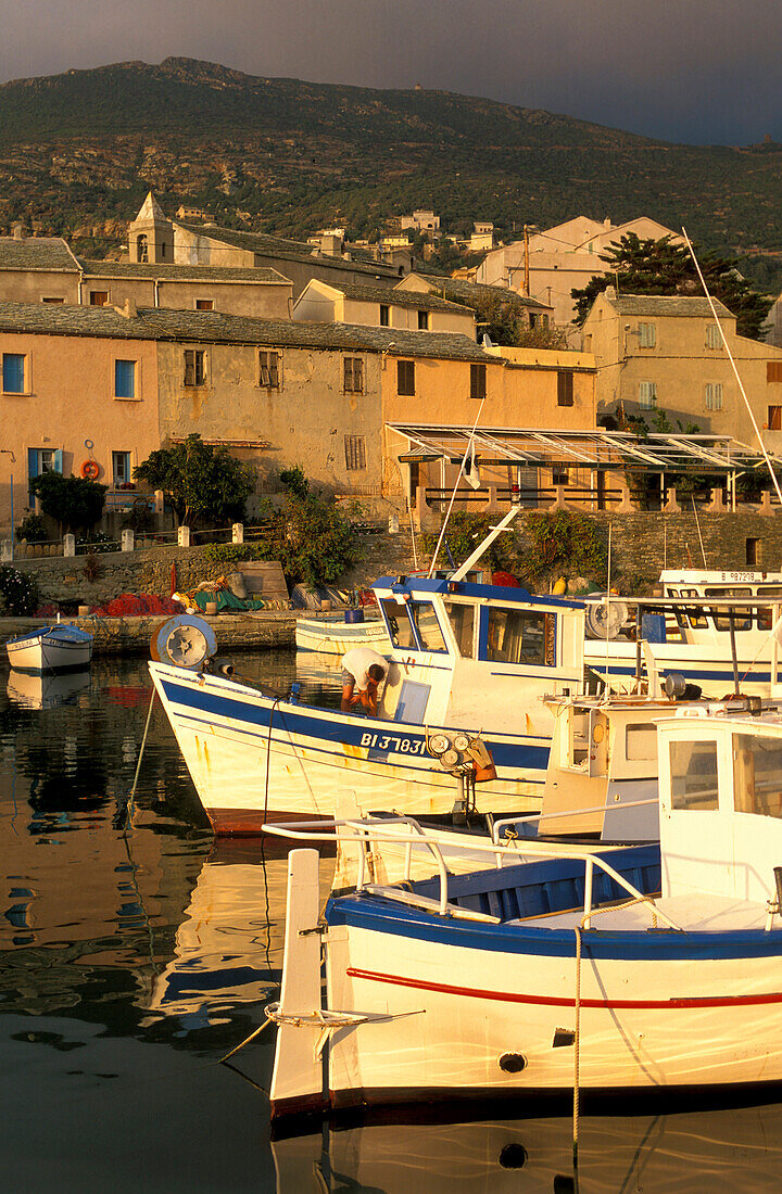 Fisher harbour in Centuri Port, Cap Course, Corsica, France