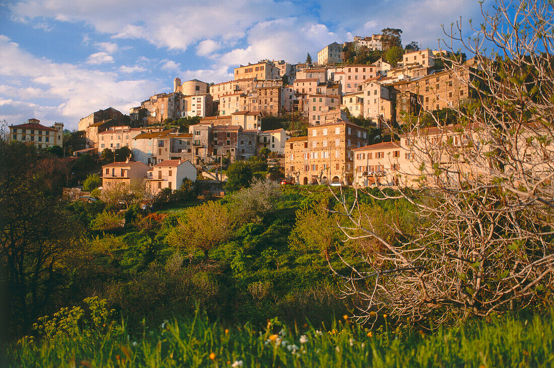 Mountain village Oletta, Nebbio, Corsica, France