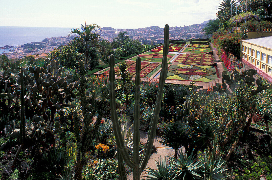 Botanischer Garten über die Stadt, Jardim Botanico, Funchal, Madeira, Portugal
