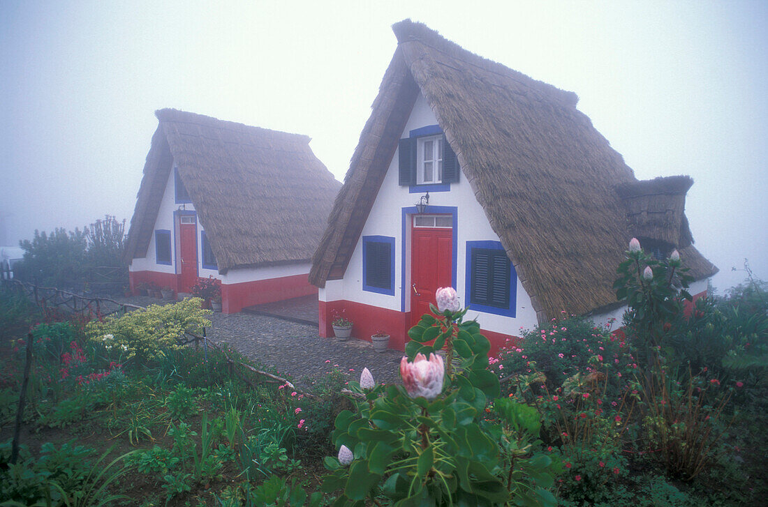 Zwei Bauernhäuser im Morgennebel, Casas do Colmo, Santana, Madeira, Portugal