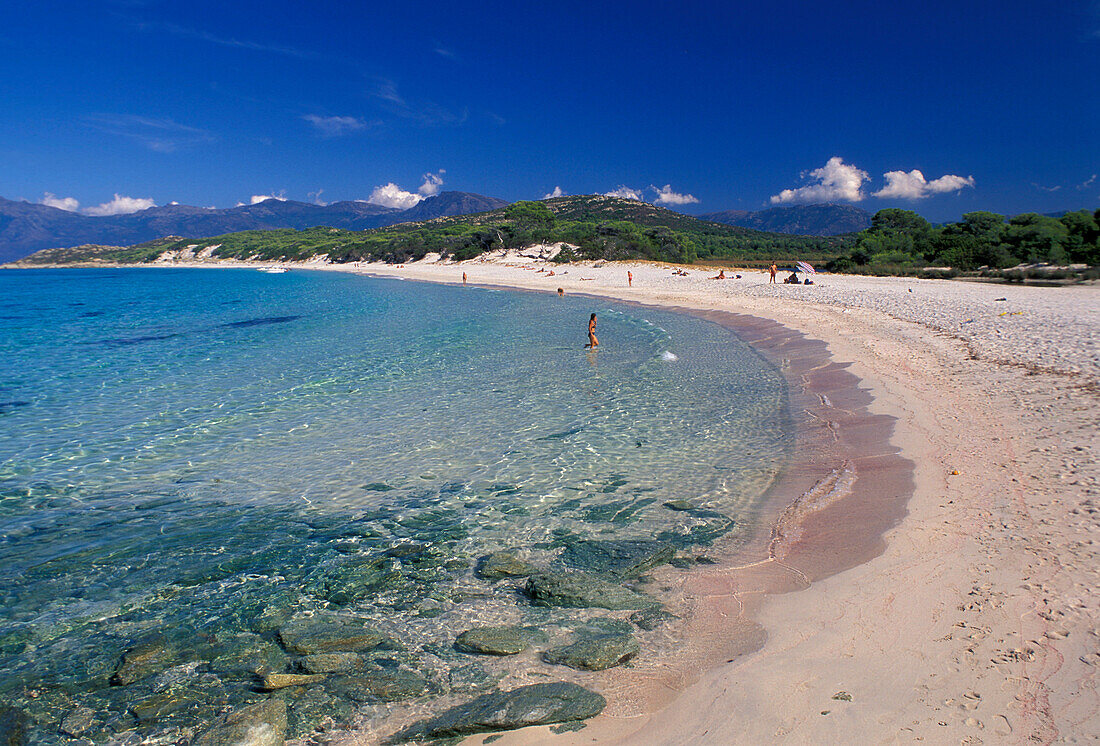 Sandy beach, Plage de Saleccia, Desert des Agriates, Corsica, France