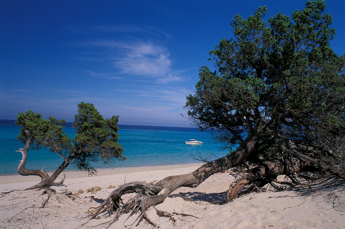Sandy beach Plage de Saleccia, Desert des Agriates, Corsica, France