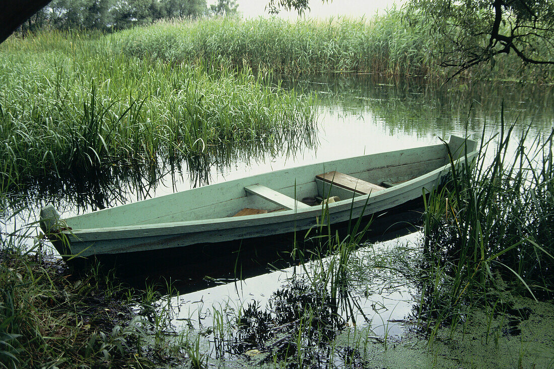 Ein Boot ist im Schilf festgemacht, Biebrzanski Park, Masuren, Polen