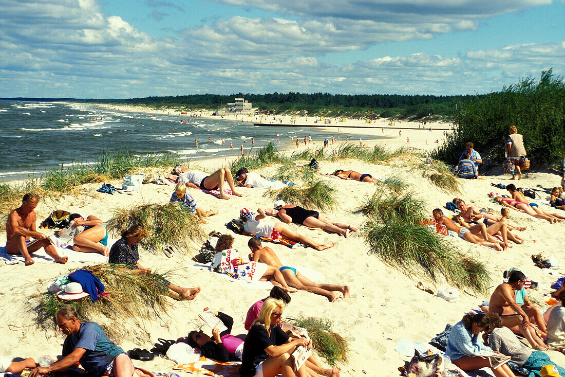Sandy beach and dunes, Palanga, Baltic Sea, Lithuania