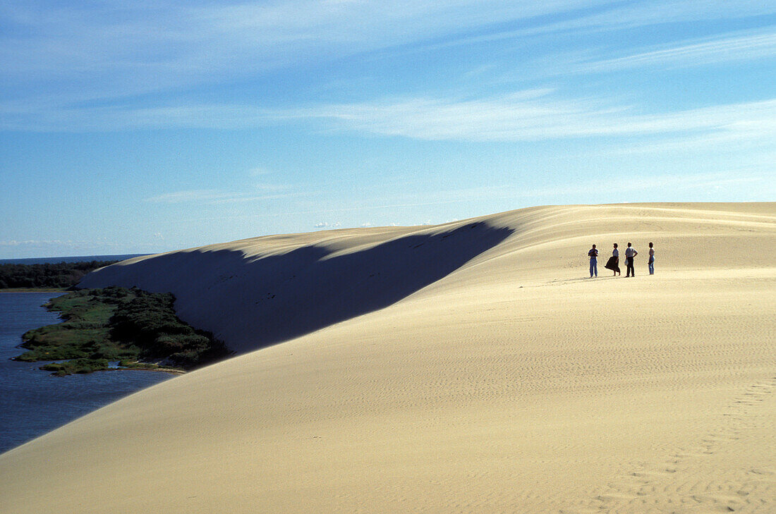 Dune near Nida, Neringa Municipality, Lithuania