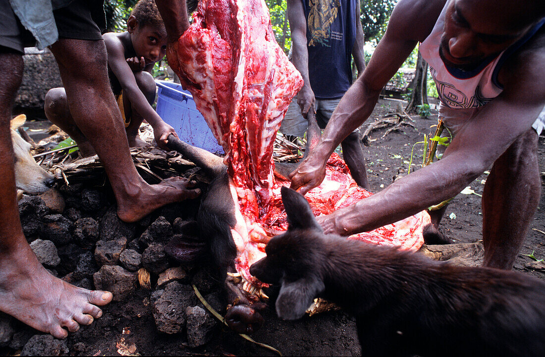Pig feasting, John Frumm Village, Tanna Vanuatu, South Pacific