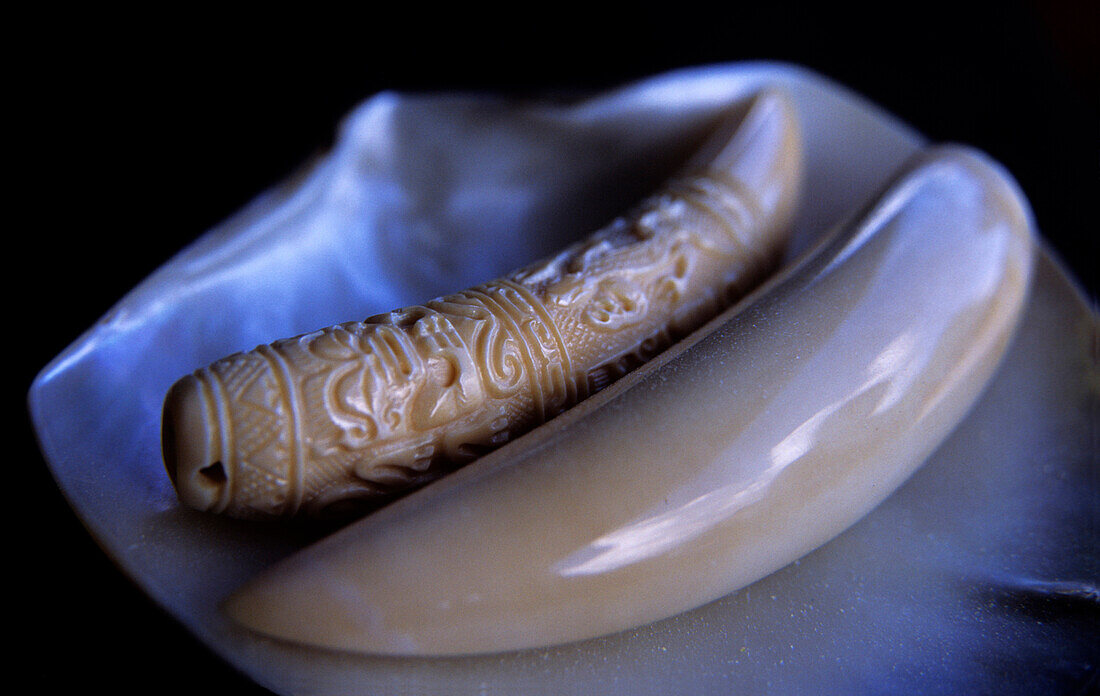 Sculptured Whale Tooth, Makemo, Tuamotu Islands French Polynesia, South Pacific-PR