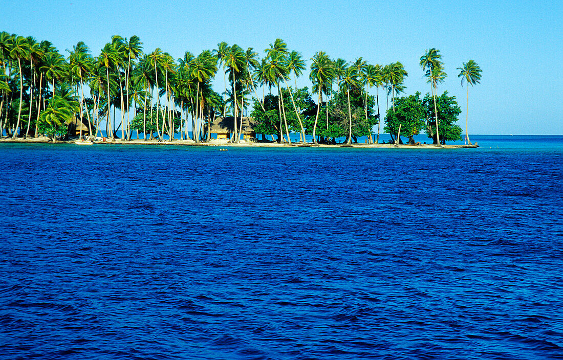 Palms, Lagoon, Presqu'ile, Tahiti, Windward Islands French Polynesia, South Pacific