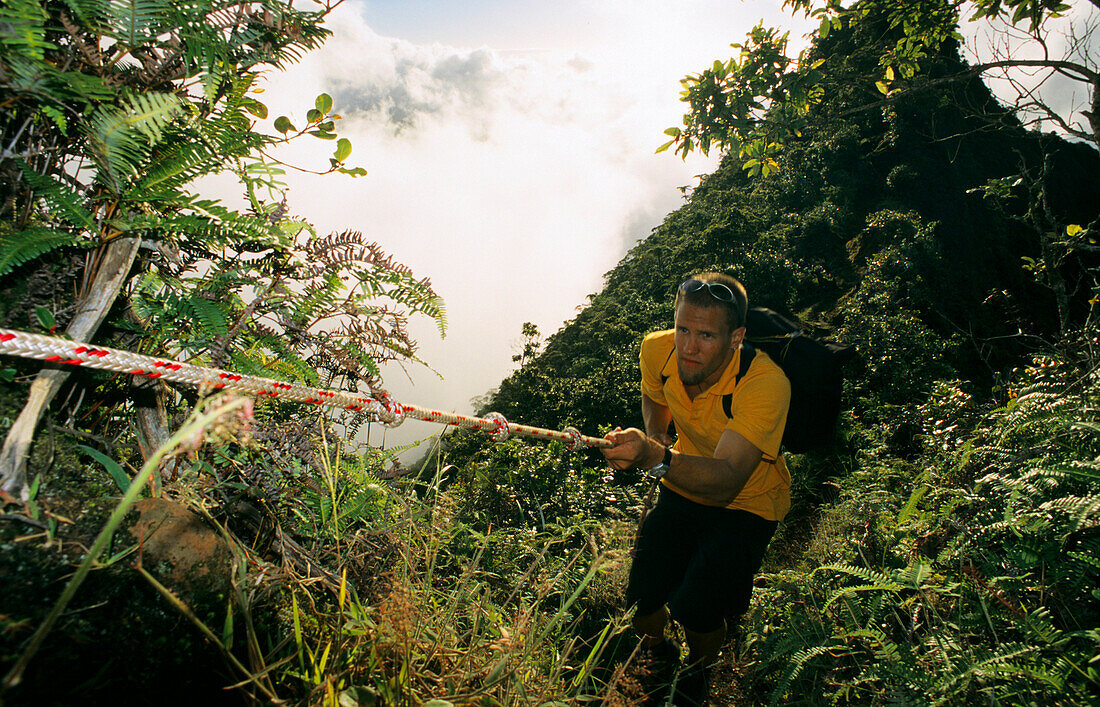 Aorai, Man climbing up Mount Aorai, Tahiti, Windward Islands, French Polynesia, South Pacific