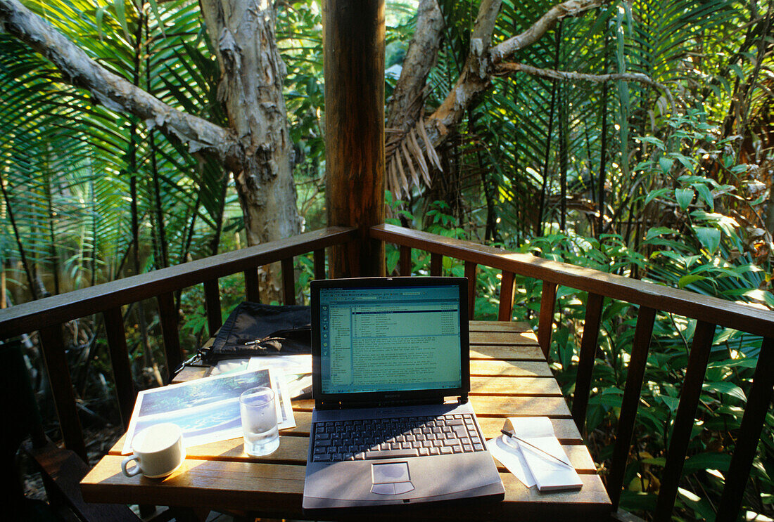 Arbeiten im Regenwald, Cairns, Tropischer Norden, Queensland, Australien
