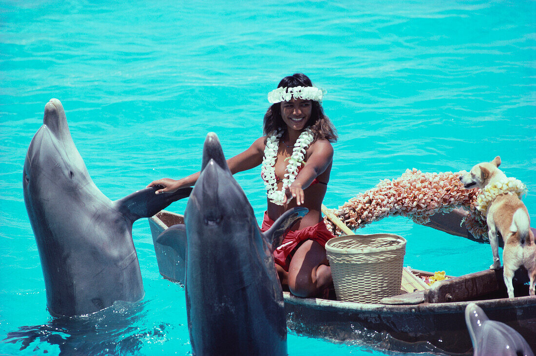 Delphin Show , Sealife Park, Oahu, Hawaii, USA