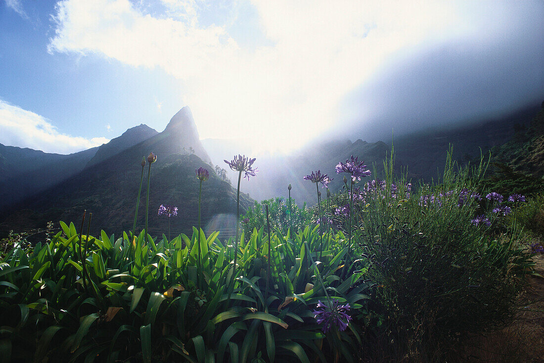 Berglandschaft unter Wolken, Madeira, Portugal, Europa