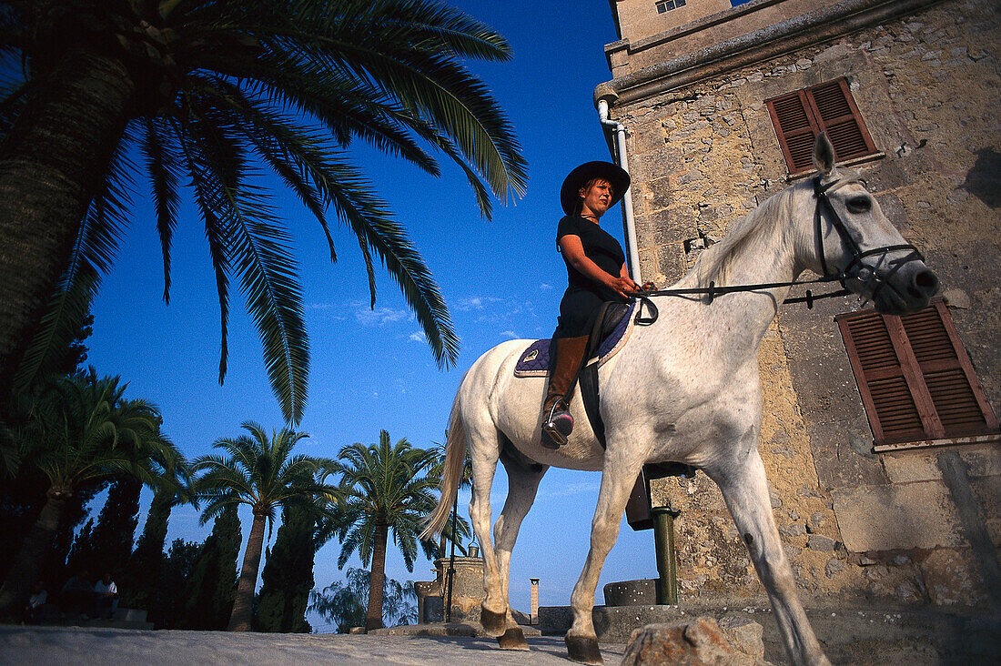 Ein Mann reitet auf einem weissen Pferd, Mallorca, Spanien