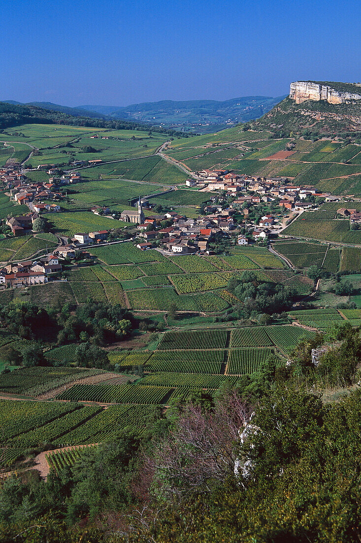 Rocks of Solutré, Vineyards near Macon Burgundy, France