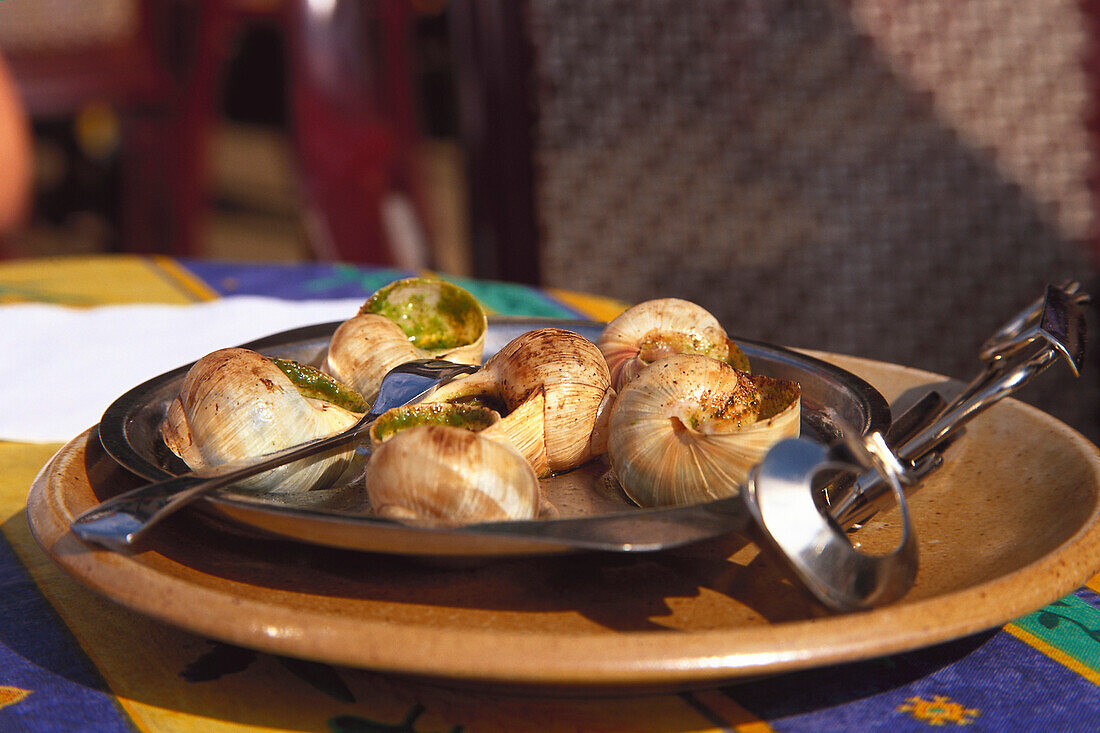 Grapevine snails served in the restaurant in Burgundy, Burgundy, France