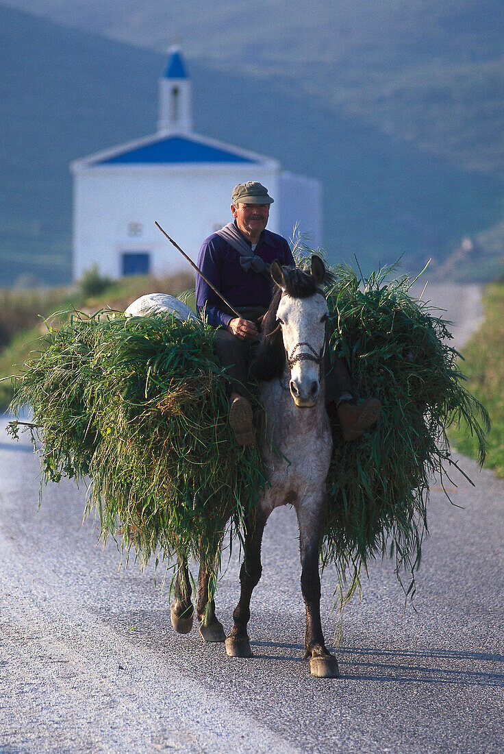 Ein alter Mann mit dem Pferd, in der nähe von Komi, Andros, Kykladen, Südliche Ägäis, Griechenland