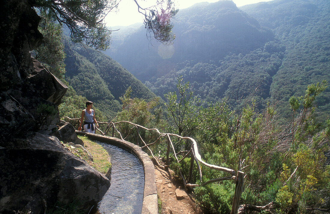 Levadas, Jungle, Rabacal, Maderia, Portugal