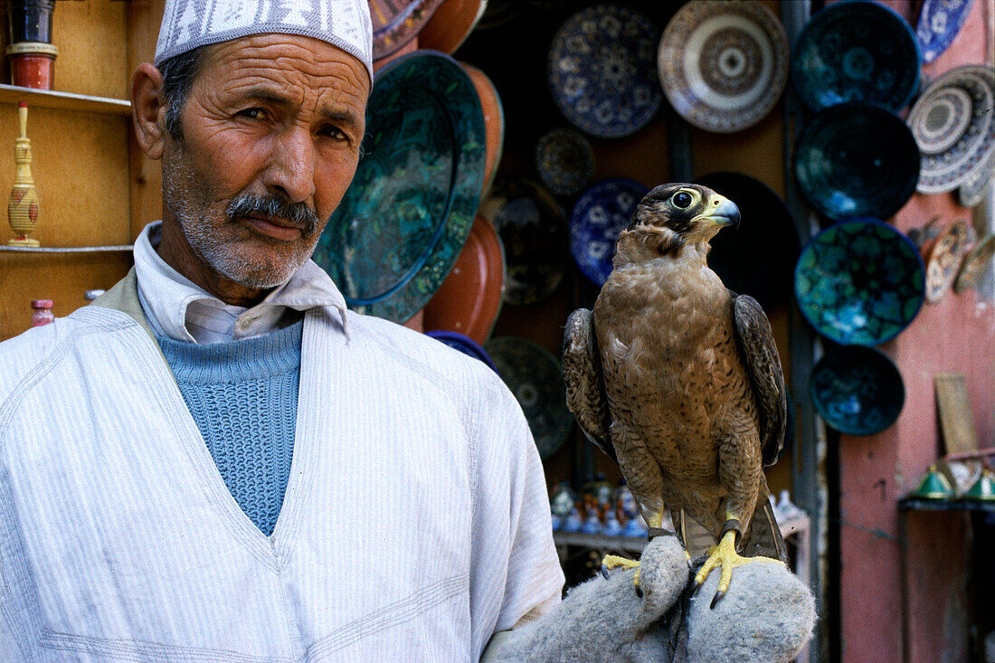 Fes, falconer in souk, Fes, Morocco North Africa
