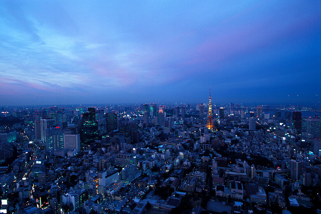 Blick vom Mori-Building, Tokyo, Japan