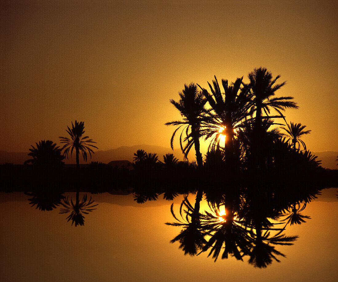 Oase in der Wüste Sahara bei Sonnenuntergang, Merzouga, Marokko, Afrika