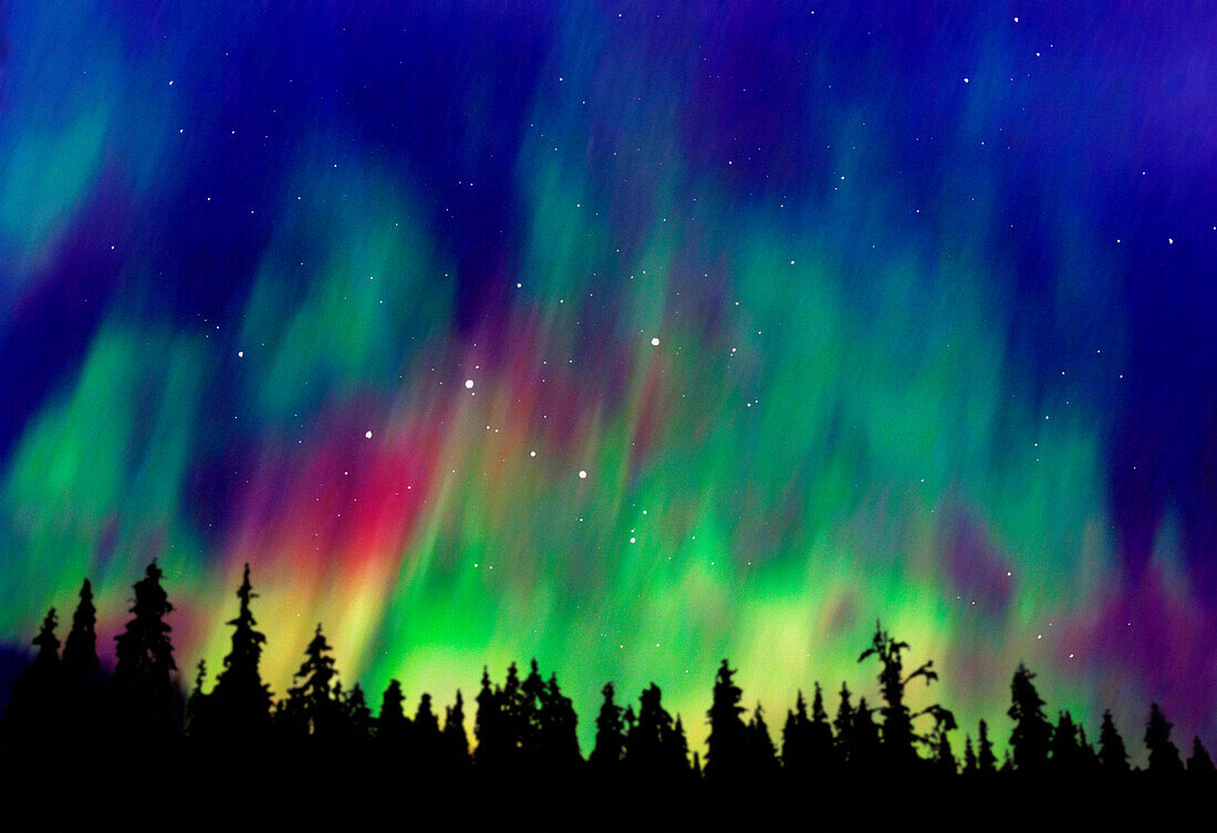 Nordlichter über einem Wald bei Talkeetna, in der Taiga, Alaska, USA, Amerika