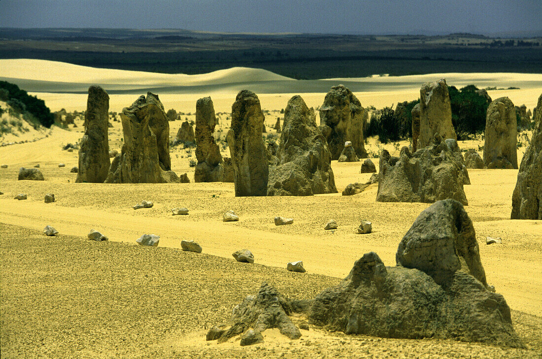 The Pinnacles near Perth, West Australia, Australia