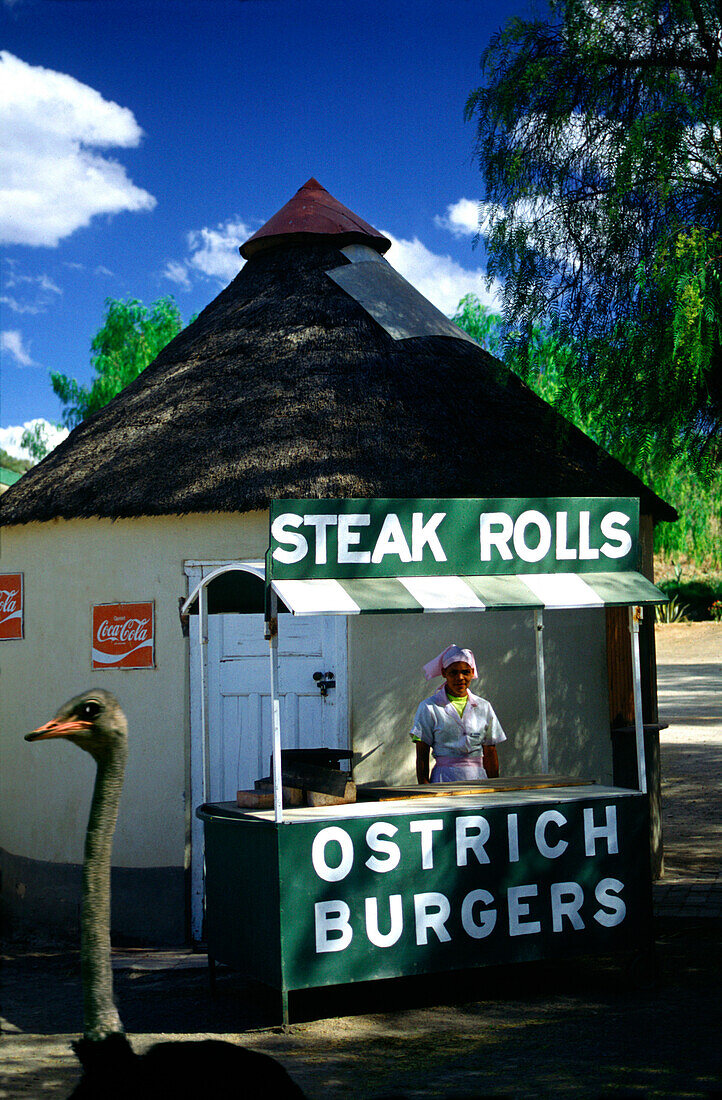Ostrich burger, Oudtshoorn ostrich farm, Oudtshoorn, Cape Province Southafrica, Africa