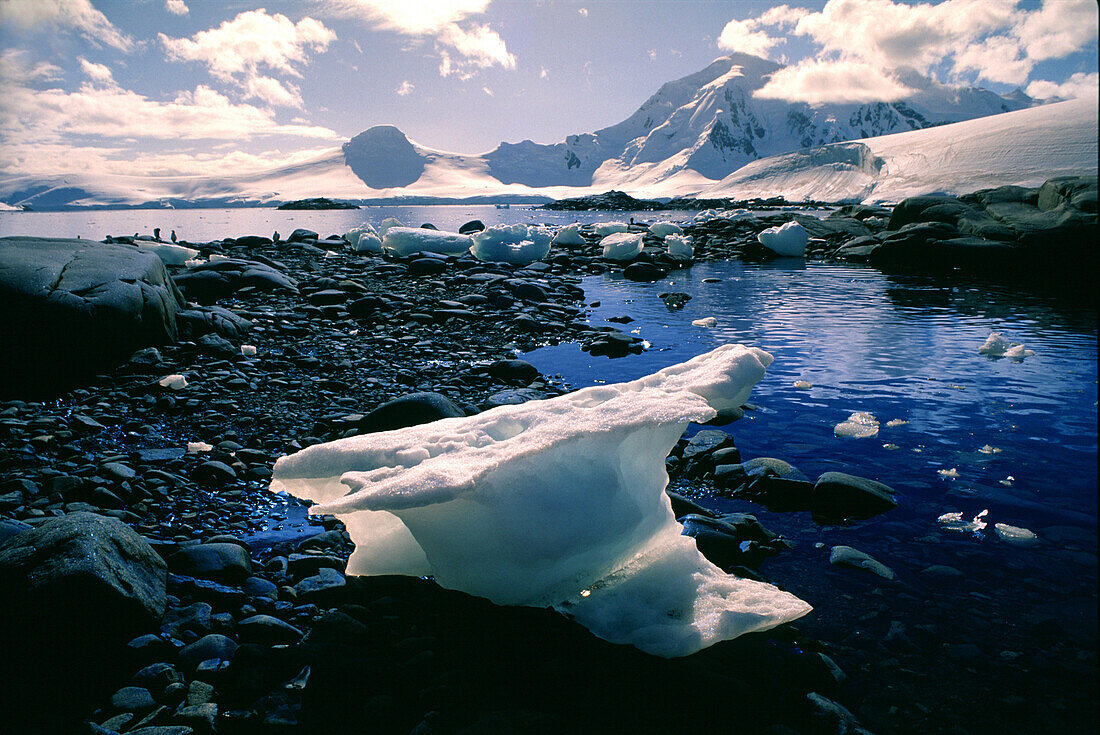 Blick auf Eisscholle und schneebedecktes Gebirge, Port Lockroy, Antarktische Halbinsel, Antarktis