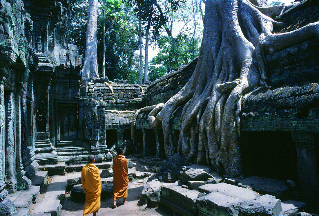 Monks in Ta Prom Temple, Angkor, Siem Raep, Cambodia, Asia