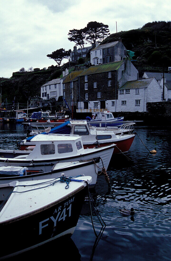 Polperro Harbour, Cornwall, Polperro Europe, England