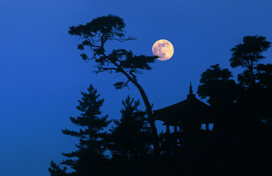 Bäume und Pavillon bei Nacht, Naksan, Südkorea, Korea, Asien