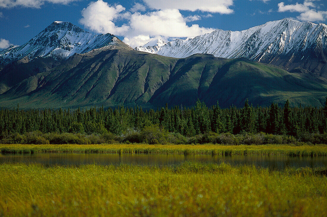 Mt. Decoett near, Haines Junction Yukon, Canada