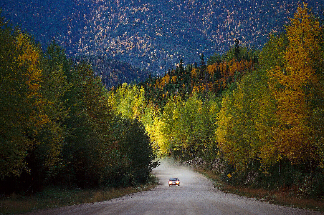 Autumn at Monts Chic-Choc, Gaspesie Quebec, Canada