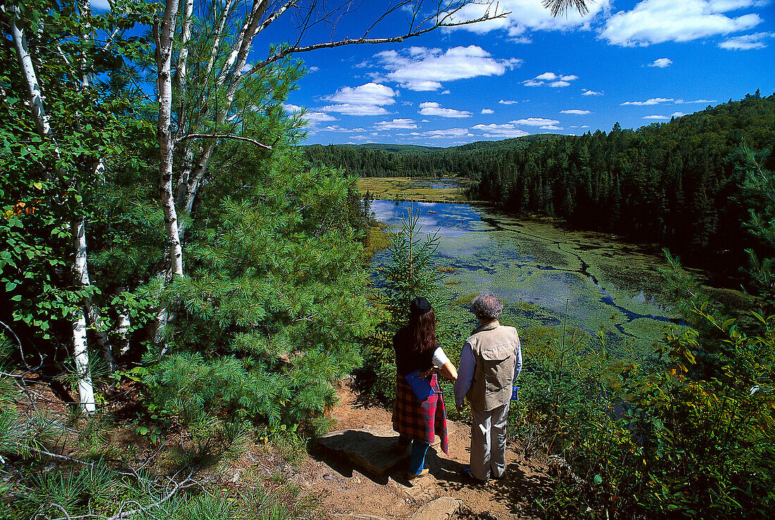 Beaver Pond Trail, Algonquin Provincial Park Ontario, Canada