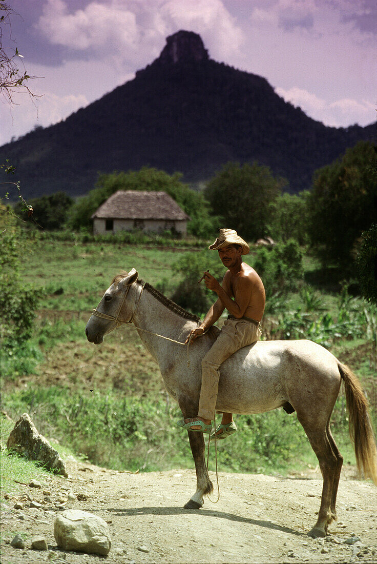 Tobacco farmer in Holguin, Holguin Province, Cuba Carribean