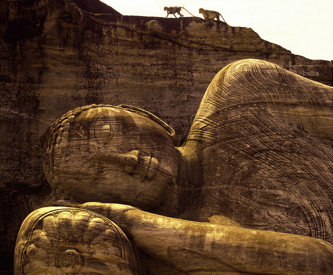 Liegender Buddha, Gal Vihara, Polonnaruwa, Sri Lanka, Asien