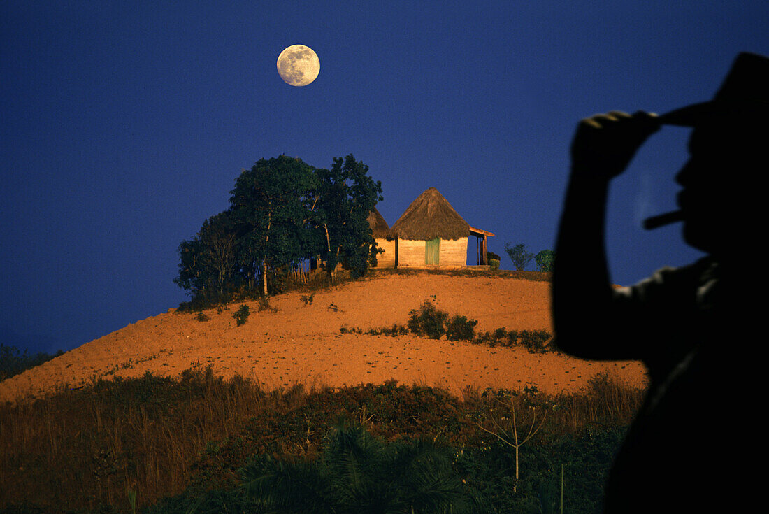 Tobacco farmer and his field, Vinales Valley, Pinar del Rio Cuba, Carribean