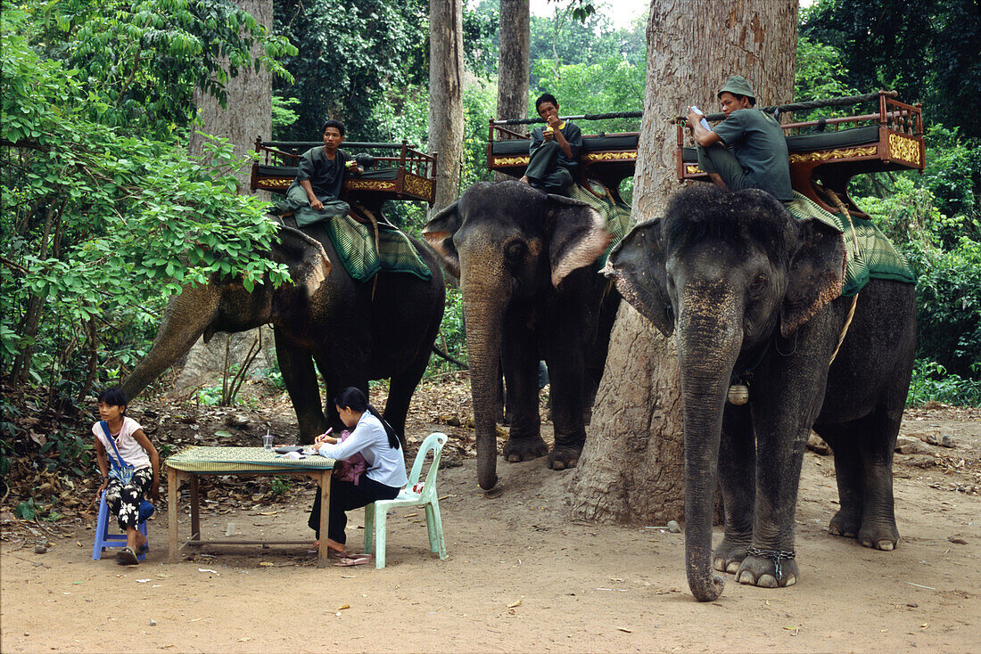 Elefants waiting for tourists near Bayon temple, , Angkor, Siem Raep Cambodia, Asia