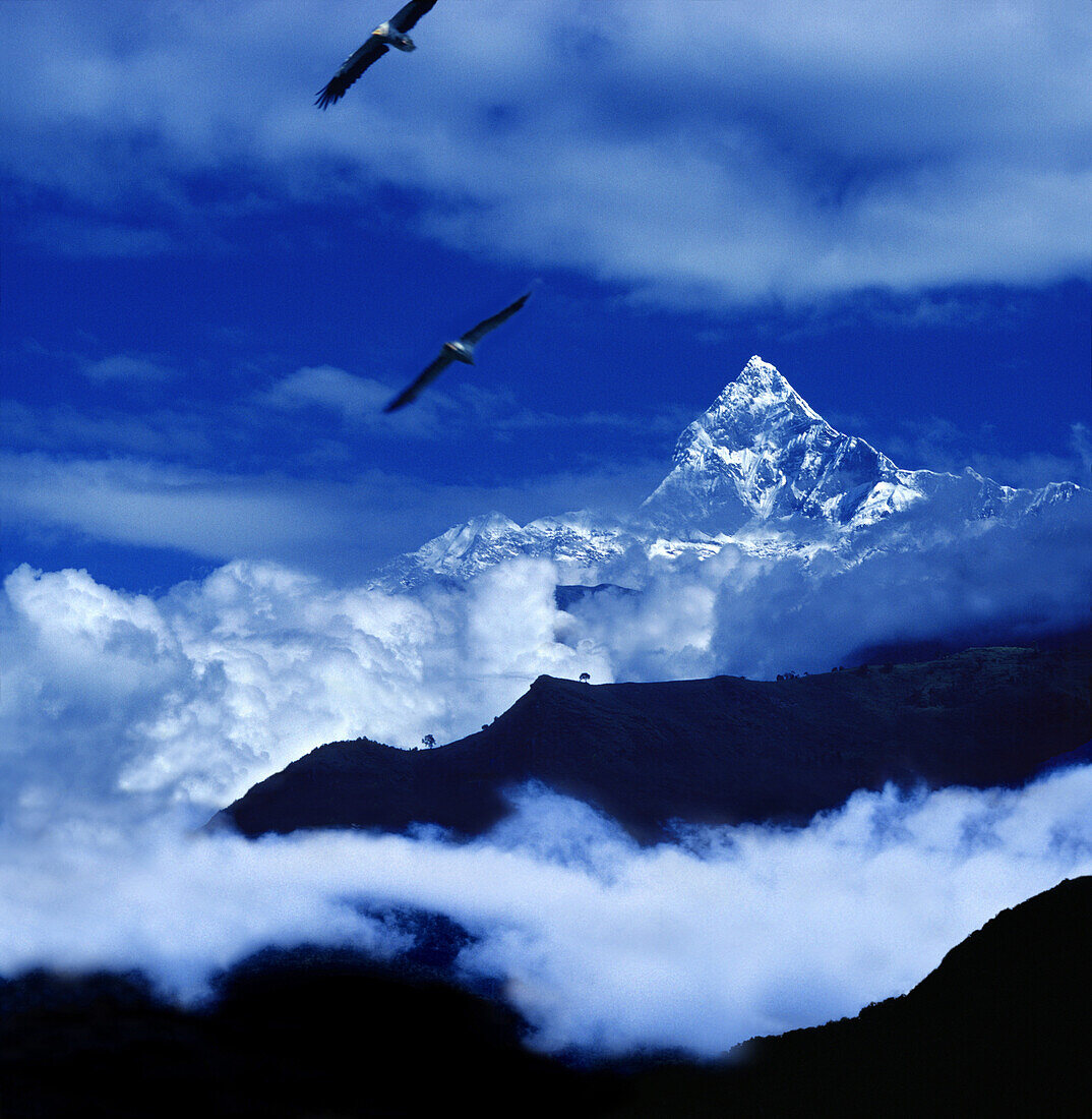 The holy Macchapucchare Mountain, Pokhara, Nepal, Asia