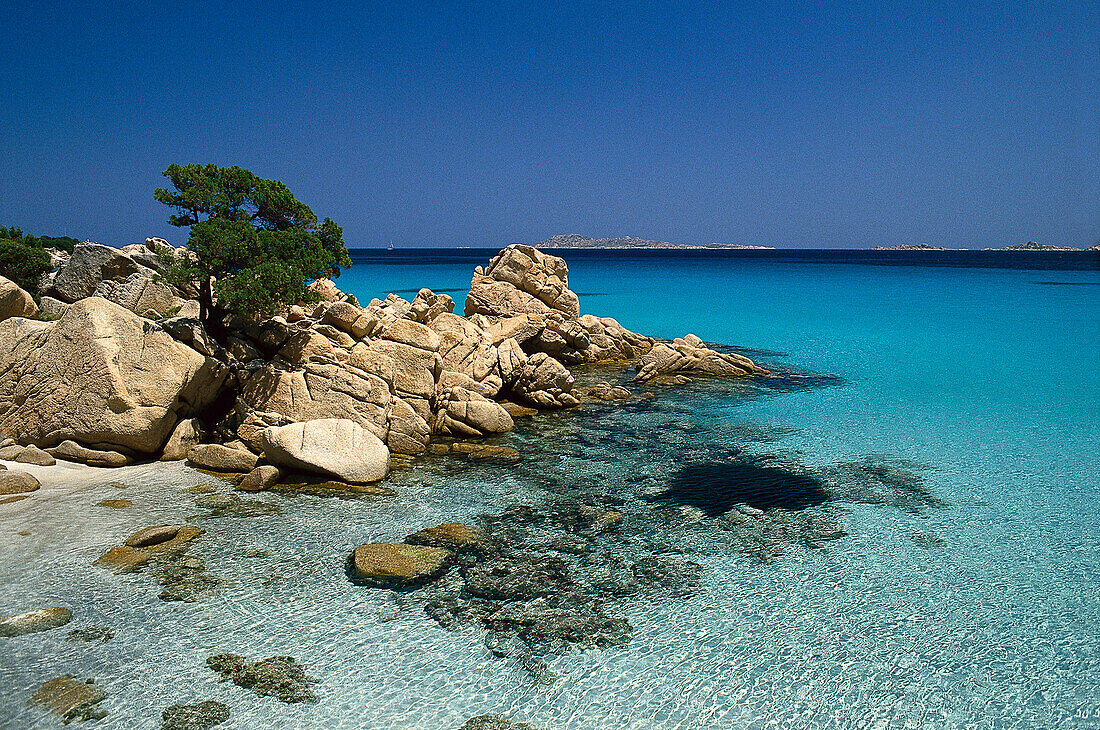 Meer und Küste im Sonnenlicht, Capriccioli, Costa Smeralda, Sardinien, Italien, Europa