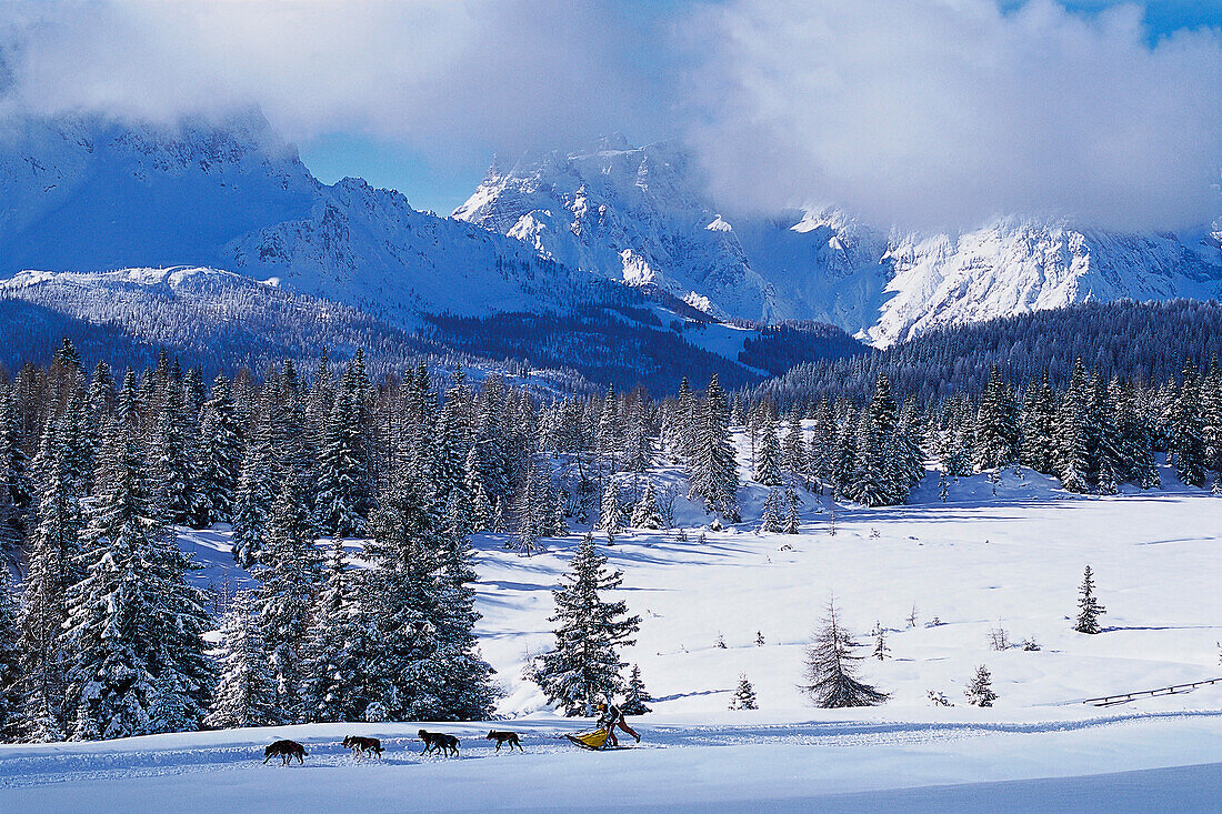 Alpencross, Dog-Sled-Race in the Dolomites South Tyrol, Italy