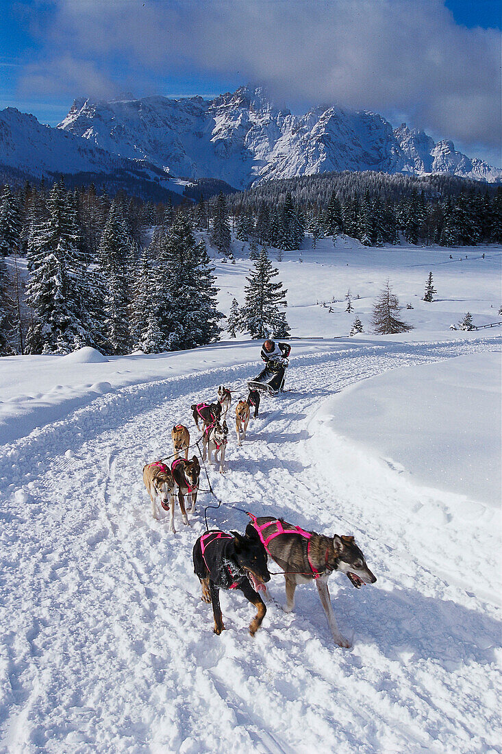 Hundeschlittenrennen in die Dolomiten, Alpencross, Dolomiten, Südtirol, Italien