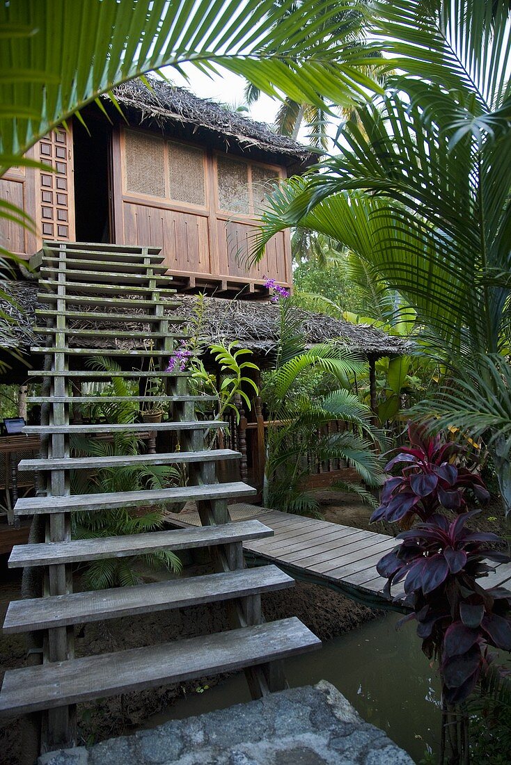 A flight of stairs leading to a palm hut with tropical vegetation