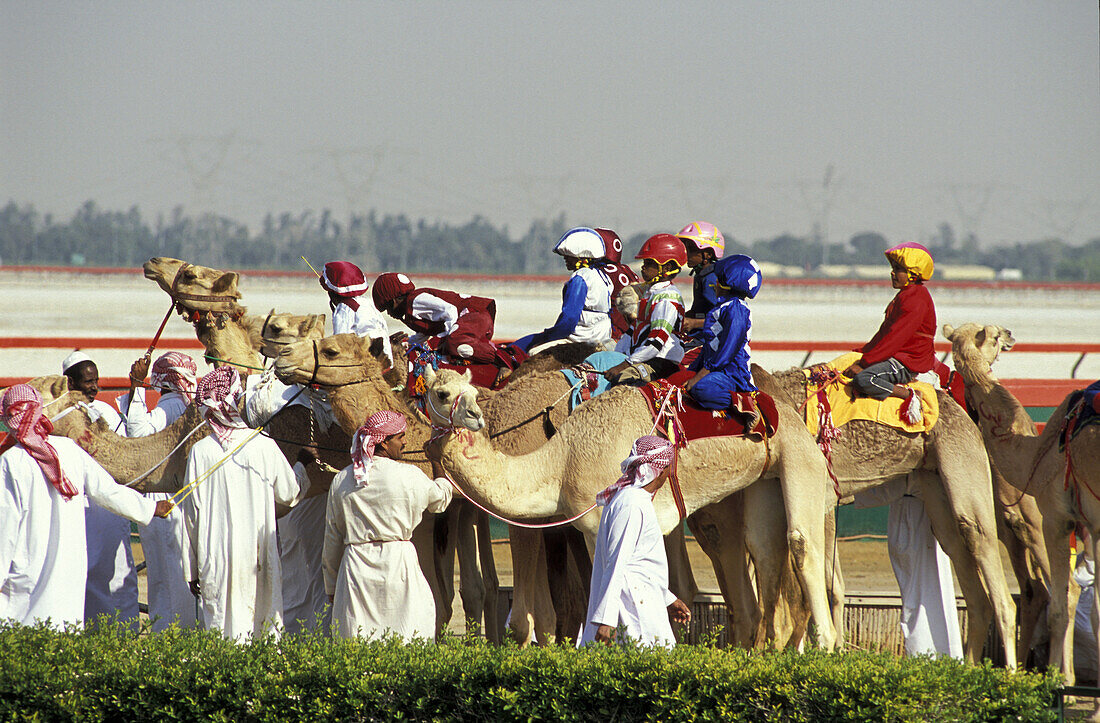 Menschen und Kamele vor einem Kamelrennen, Dubai, Vereinigte Arabische Emirate, Vorderasien, Asien